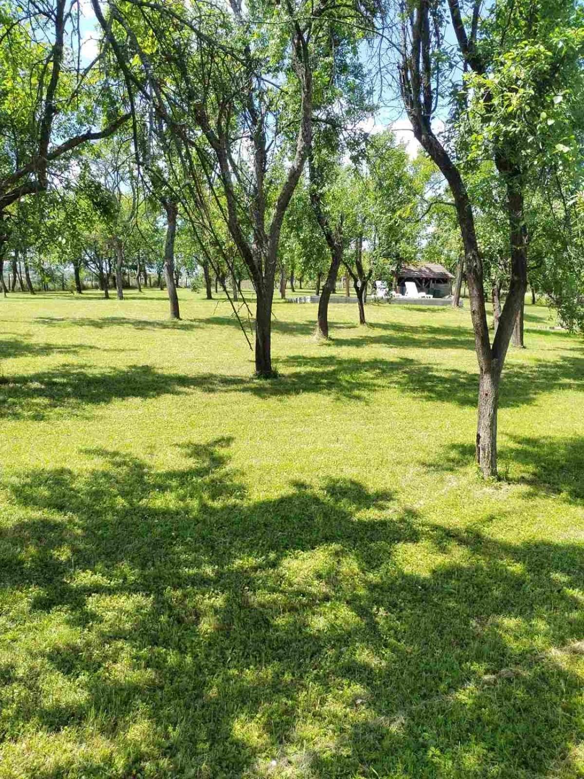 Villa Vikendica Gaj Gornji Milanovac Exterior foto